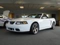 Oxford White 2004 Ford Mustang Cobra Convertible