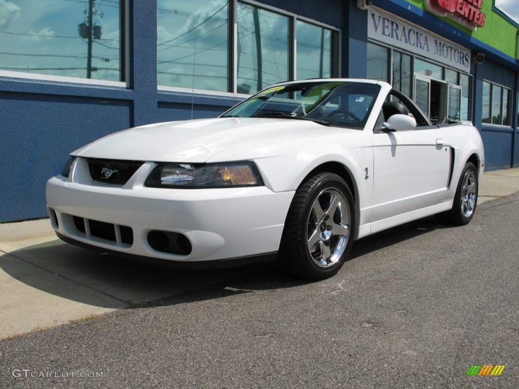 2004 Mustang Cobra Convertible - Oxford White / Dark Charcoal photo #2