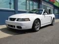 Oxford White - Mustang Cobra Convertible Photo No. 2