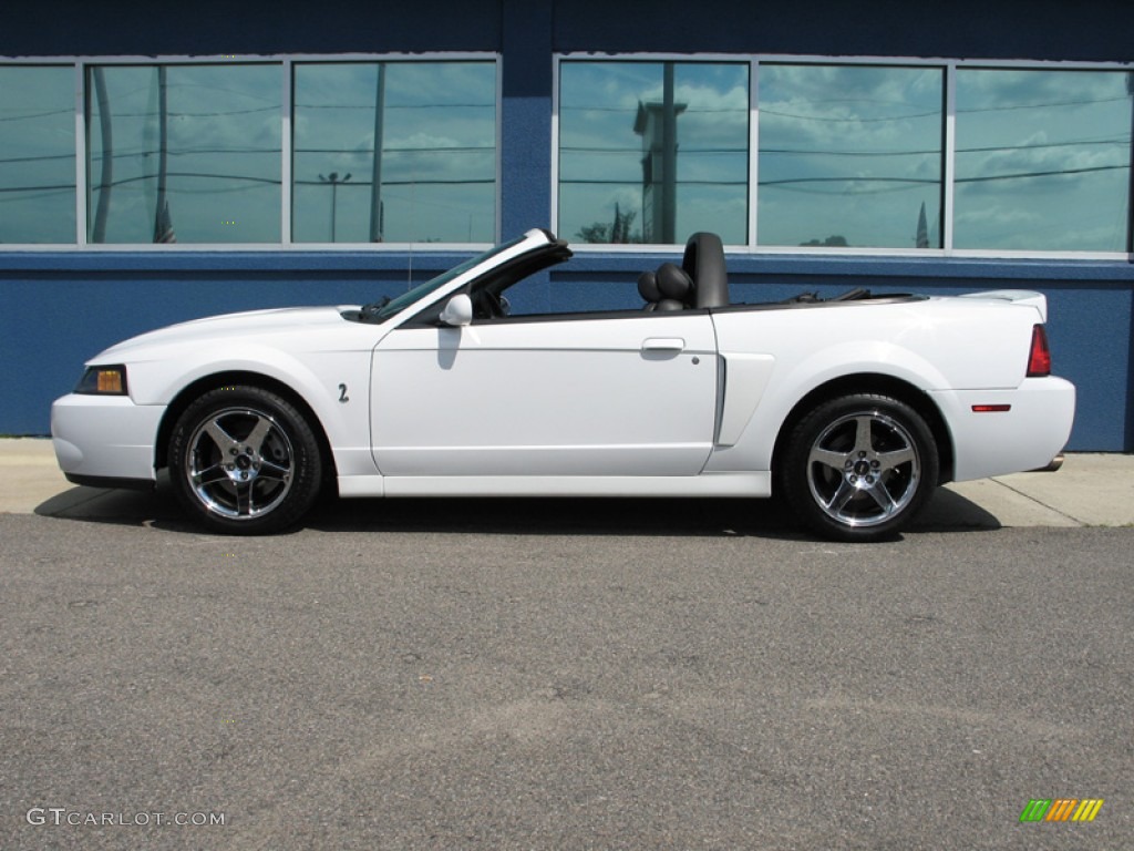 Oxford White 2004 Ford Mustang Cobra Convertible Exterior Photo #74984560