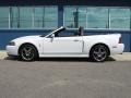 Oxford White 2004 Ford Mustang Cobra Convertible Exterior