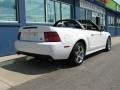 Oxford White - Mustang Cobra Convertible Photo No. 6