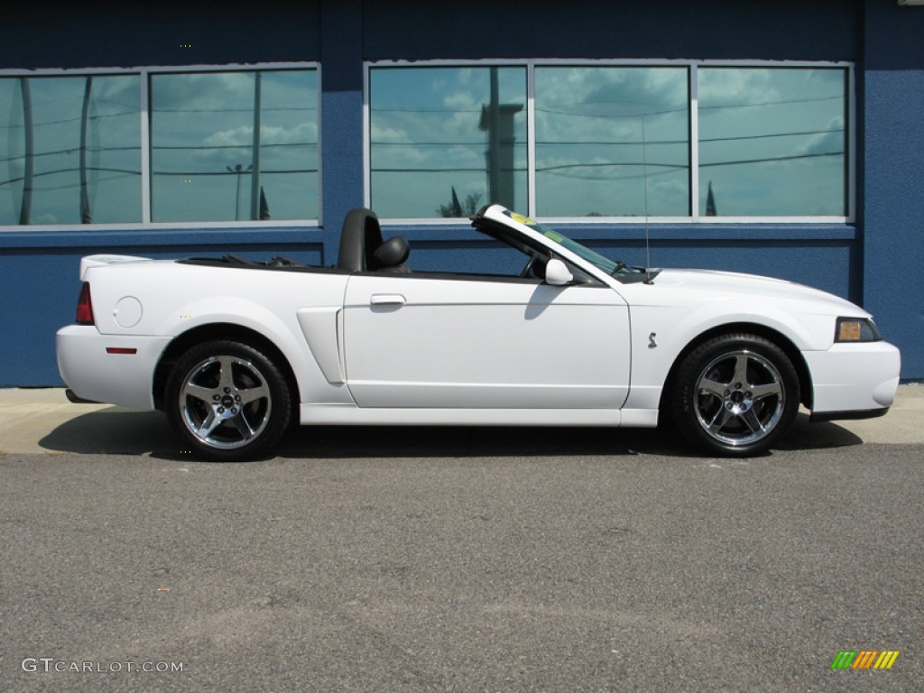 Oxford White 2004 Ford Mustang Cobra Convertible Exterior Photo #74984635