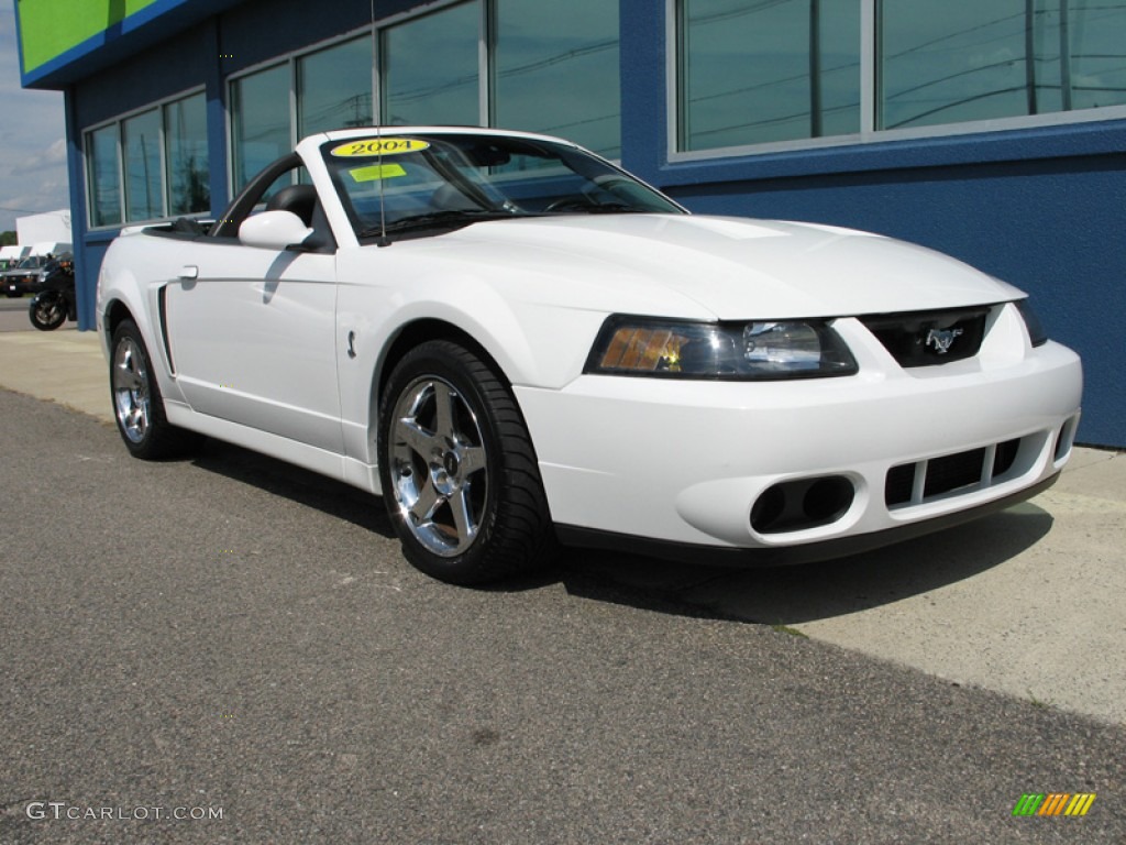 2004 Mustang Cobra Convertible - Oxford White / Dark Charcoal photo #8