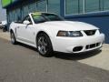 Oxford White - Mustang Cobra Convertible Photo No. 8