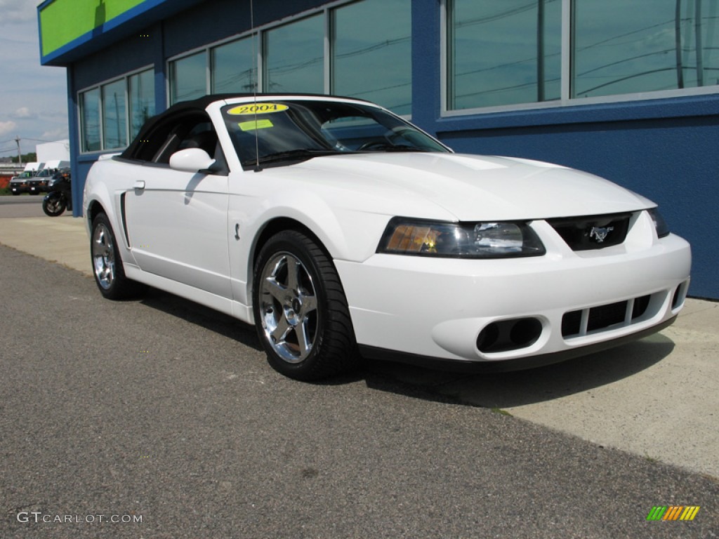 2004 Ford Mustang Cobra Convertible Exterior Photos