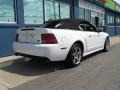 Oxford White - Mustang Cobra Convertible Photo No. 11