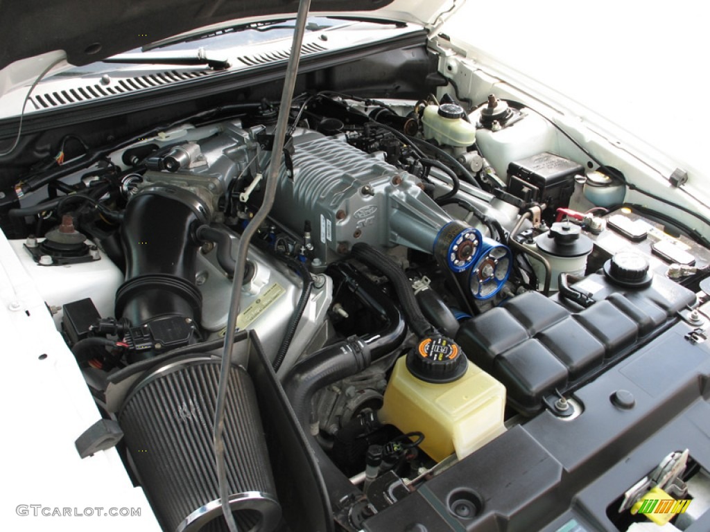 2004 Ford Mustang Cobra Convertible 4.6 Liter SVT Supercharged DOHC 32-Valve V8 Engine Photo #74984746