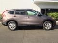 2013 Urban Titanium Metallic Honda CR-V EX-L AWD  photo #2