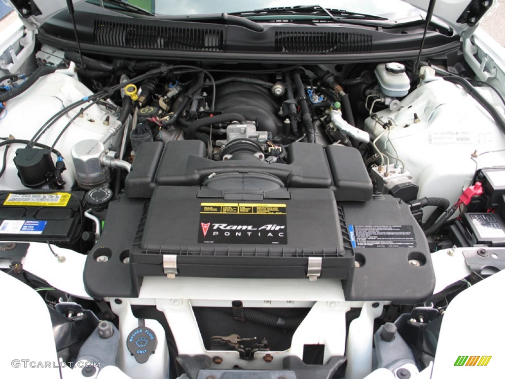 1999 Firebird 30th Anniversary Trans Am Coupe - Arctic White / White photo #14