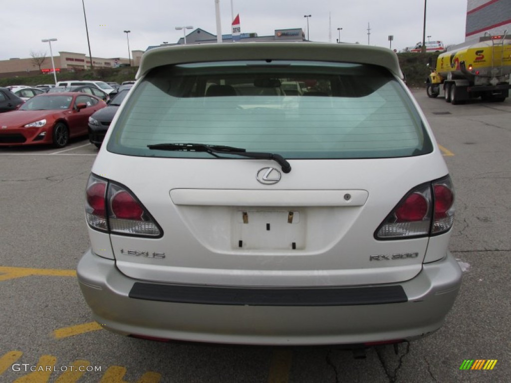 2002 RX 300 AWD - White Gold Crystal / Ivory photo #5