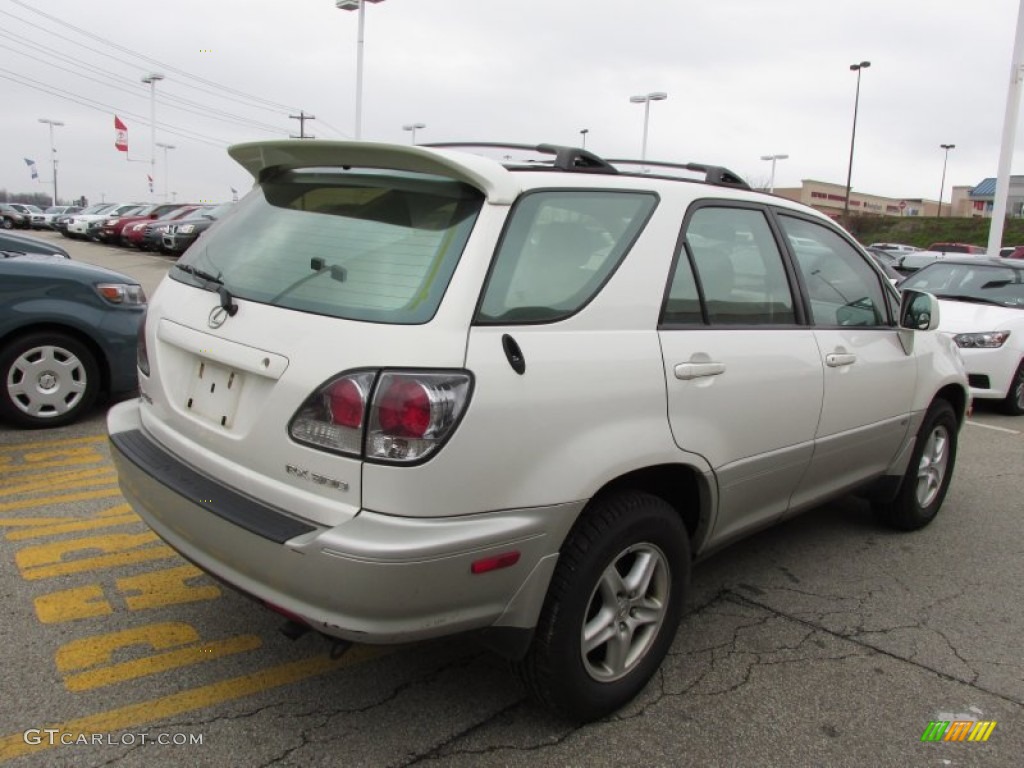 2002 RX 300 AWD - White Gold Crystal / Ivory photo #6