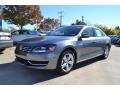 Platinum Gray Metallic - Passat 2.5L SE Photo No. 1