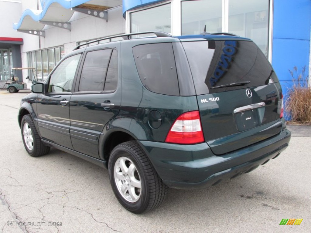 2002 ML 500 4Matic - Everest Green Metallic / Java photo #5