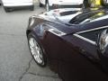 2009 Black Cherry Cadillac CTS Sedan  photo #44