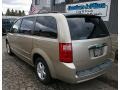 2009 Light Sandstone Metallic Dodge Grand Caravan SXT  photo #5