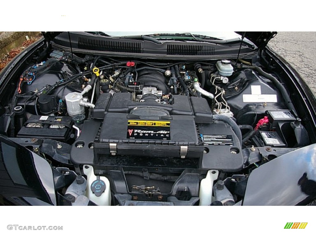 2002 Firebird Trans Am Coupe - Black / Ebony Black photo #11