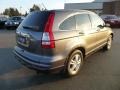 2010 Urban Titanium Metallic Honda CR-V EX-L AWD  photo #6