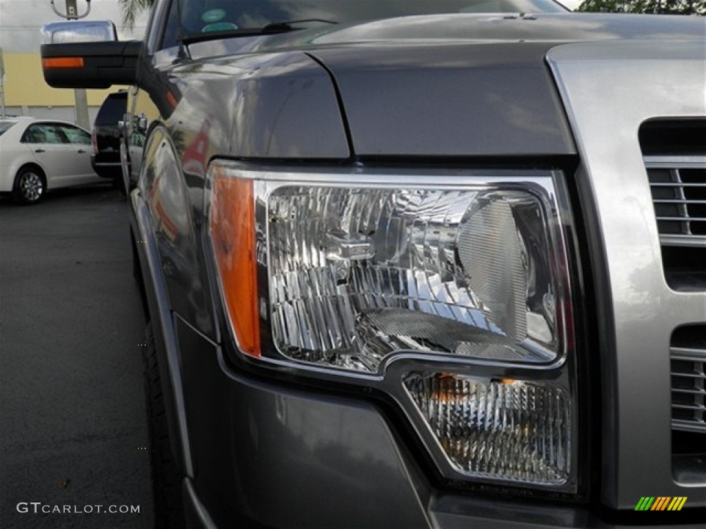 2010 F150 Platinum SuperCrew 4x4 - Sterling Grey Metallic / Sienna Brown Leather/Black photo #3