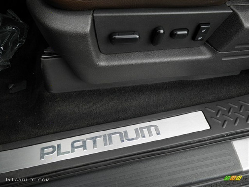 2010 F150 Platinum SuperCrew 4x4 - Sterling Grey Metallic / Sienna Brown Leather/Black photo #32
