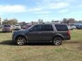 2010 Sterling Grey Metallic Ford Expedition Limited  photo #3