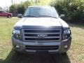 2010 Sterling Grey Metallic Ford Expedition Limited  photo #28