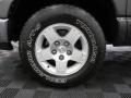 2004 Graphite Metallic Dodge Ram 1500 SLT Quad Cab 4x4  photo #27