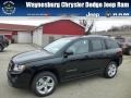 2013 Black Forest Green Pearl Jeep Compass Sport 4x4 #75021308