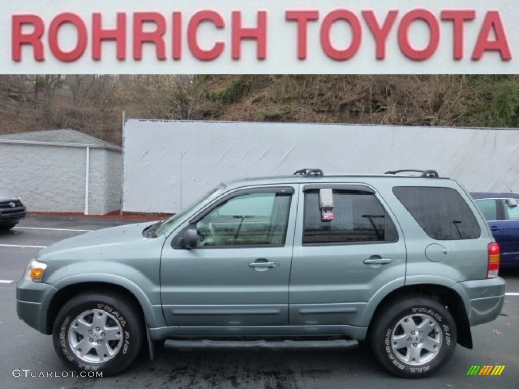 2006 Escape Limited 4WD - Titanium Green Metallic / Medium/Dark Pebble photo #1