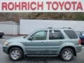 2006 Titanium Green Metallic Ford Escape Limited 4WD  photo #1