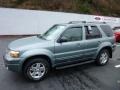 2006 Titanium Green Metallic Ford Escape Limited 4WD  photo #2