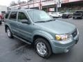 Titanium Green Metallic - Escape Limited 4WD Photo No. 3