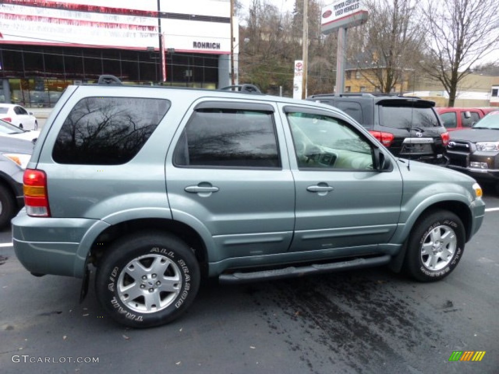 2006 Escape Limited 4WD - Titanium Green Metallic / Medium/Dark Pebble photo #11