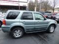 Titanium Green Metallic - Escape Limited 4WD Photo No. 11