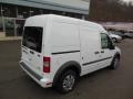 Frozen White 2013 Ford Transit Connect XLT Van Exterior