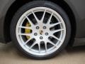 2010 Porsche Panamera Turbo Wheel and Tire Photo