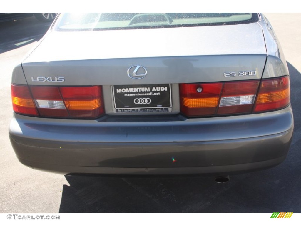 1997 ES 300 - Antique Sage Pearl / Gray photo #5