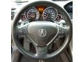 2009 Acura TL Umber/Ebony Interior Steering Wheel Photo