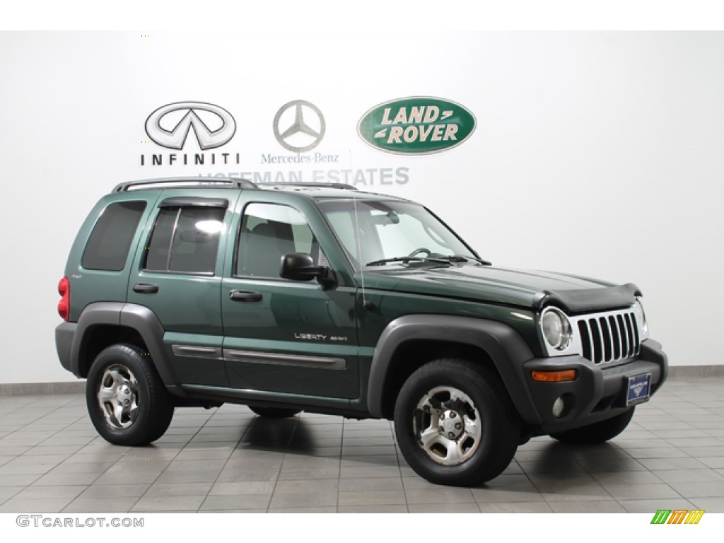 2002 Liberty Sport 4x4 - Shale Green Metallic / Dark Slate Gray photo #1