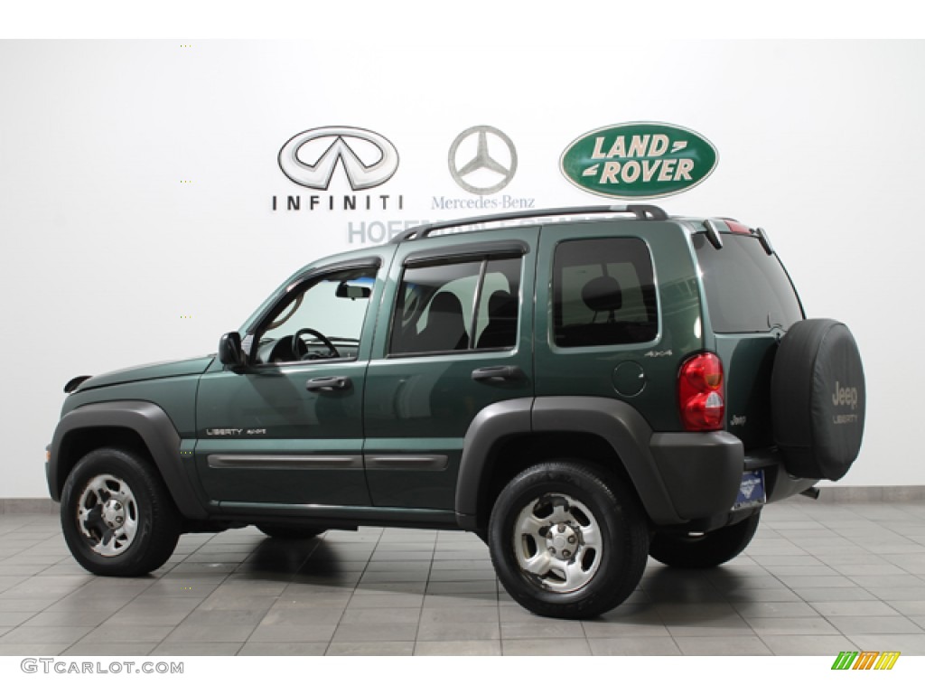 2002 Liberty Sport 4x4 - Shale Green Metallic / Dark Slate Gray photo #5