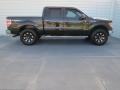 Tuxedo Black Metallic 2011 Ford F150 XLT SuperCrew 4x4 Exterior