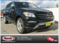 Black - ML 350 4Matic Photo No. 1