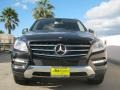 Black - ML 350 4Matic Photo No. 2