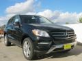 Black - ML 350 4Matic Photo No. 6