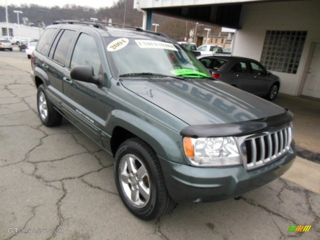2004 Grand Cherokee Limited 4x4 - Onyx Green Pearl / Taupe photo #2