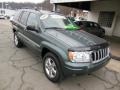 2004 Onyx Green Pearl Jeep Grand Cherokee Limited 4x4  photo #2