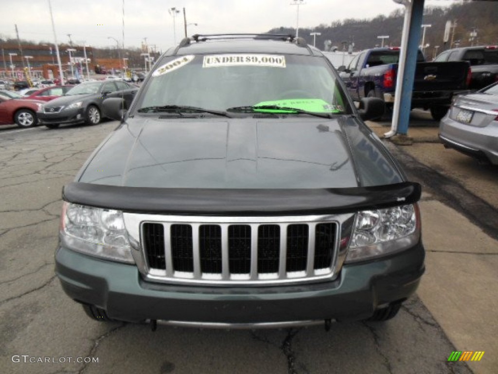2004 Grand Cherokee Limited 4x4 - Onyx Green Pearl / Taupe photo #3