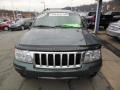 2004 Onyx Green Pearl Jeep Grand Cherokee Limited 4x4  photo #3