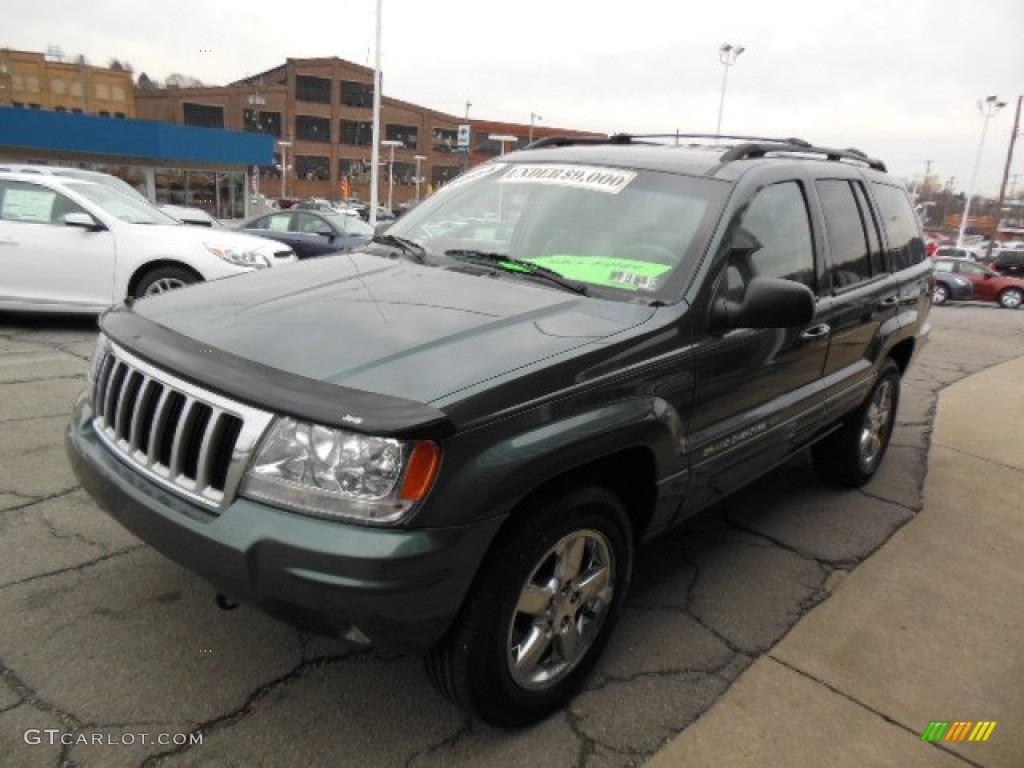 2004 Grand Cherokee Limited 4x4 - Onyx Green Pearl / Taupe photo #4
