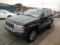 2004 Onyx Green Pearl Jeep Grand Cherokee Limited 4x4  photo #4